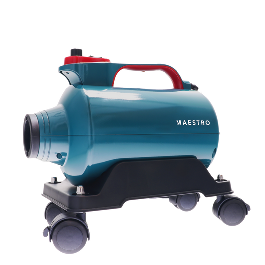 Monello Maestro Car Dryer