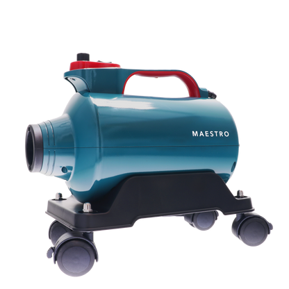 Monello Maestro Car Dryer